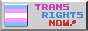 Trans Rights Now!